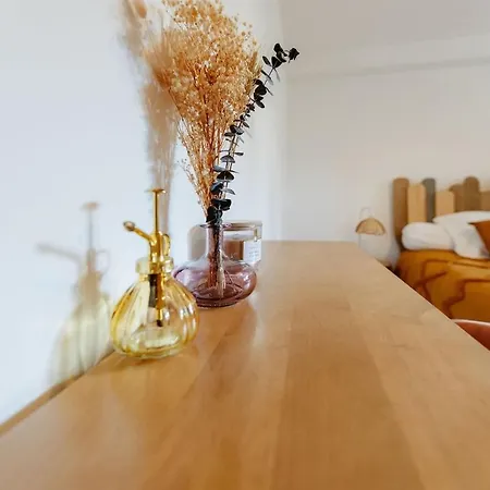 Villa Xo 17 5 Etoiles Ile D'oleron 15 People Jacuzzi 50m De La Vue Vue Marais