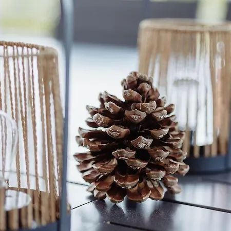 Xo 17 5 Etoiles Ile D'oleron 15 People Jacuzzi 50m De La Vue Vue Marais Villa Saint-Georges-d'Oleron